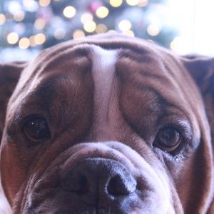 Meet your Posher, Julia